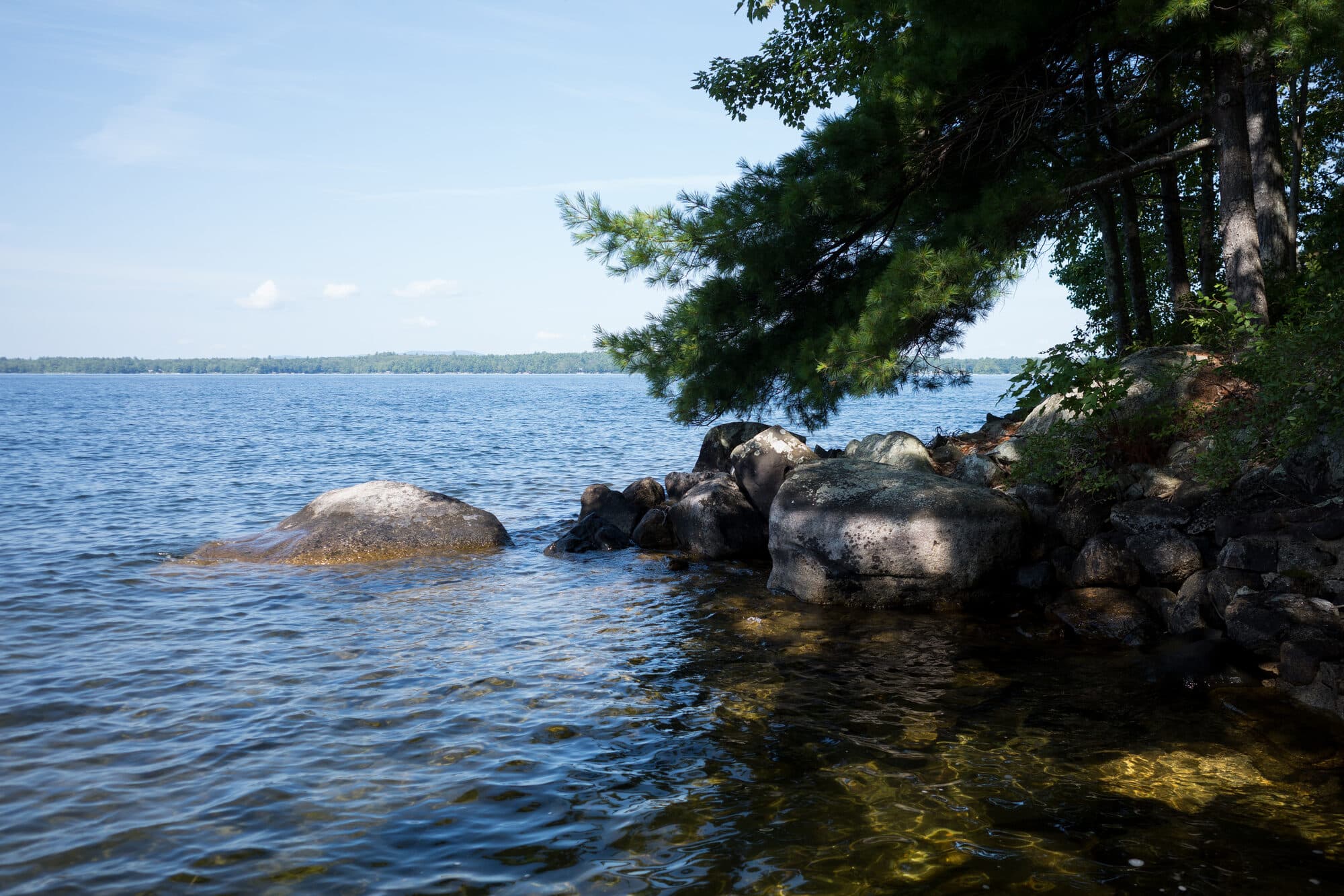The rocky point under the pines